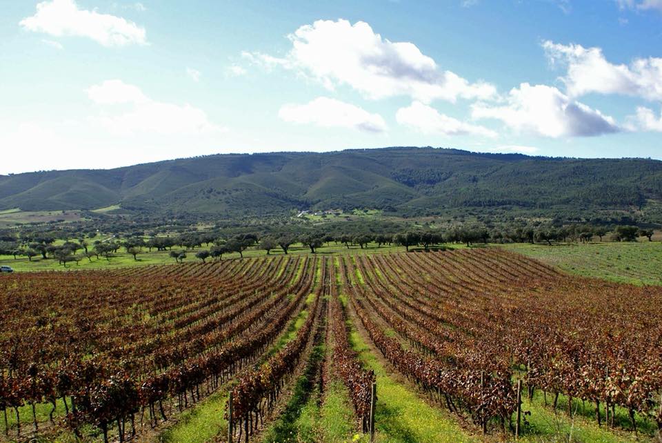 Vinhos do Alentejo, Alentejo, Serra d Ossa, Portugal