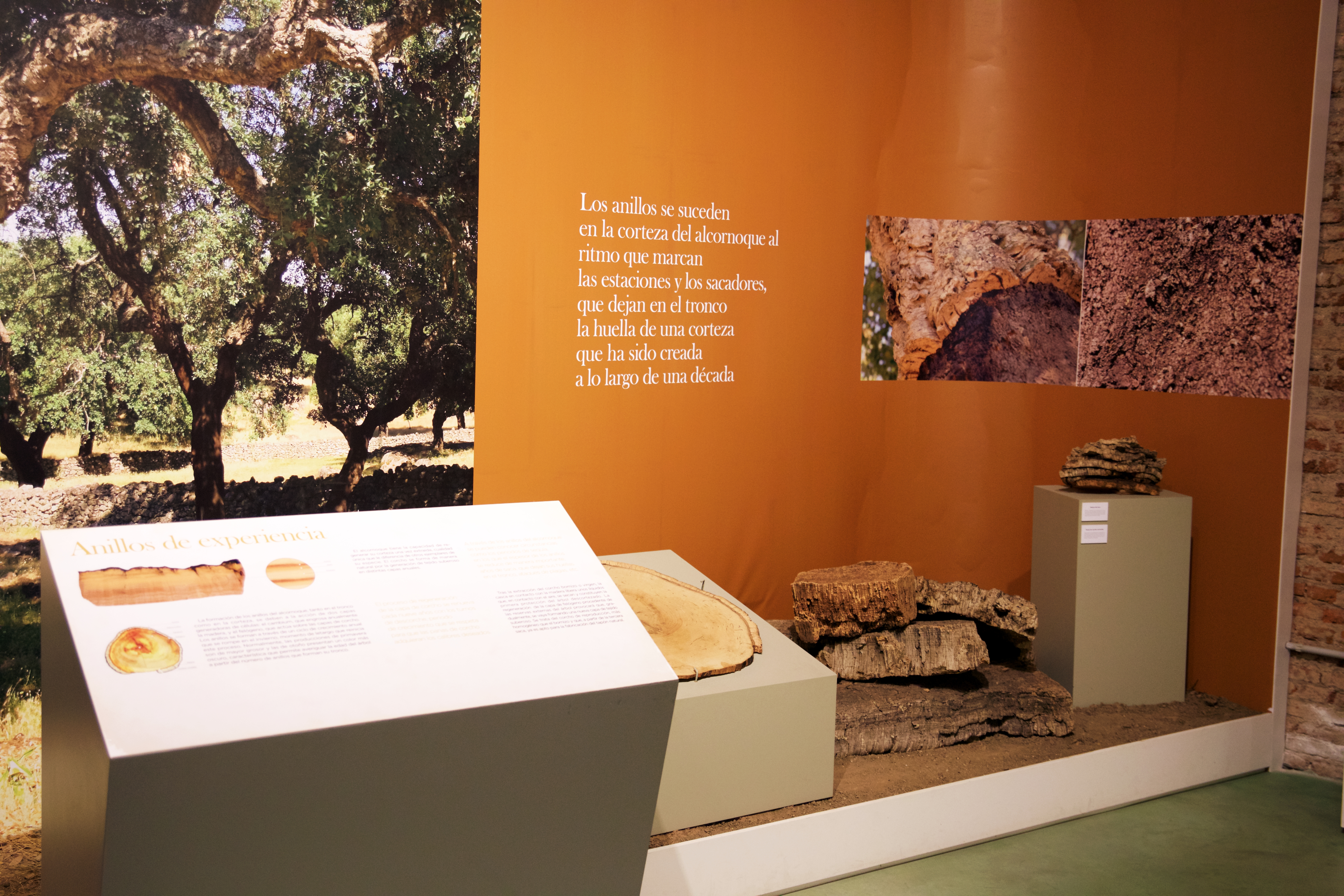Museo del Corcho, Museo de Identidad del Corcho, museos, turismo, cultura, San Vicente de Alcántara, Extremadura